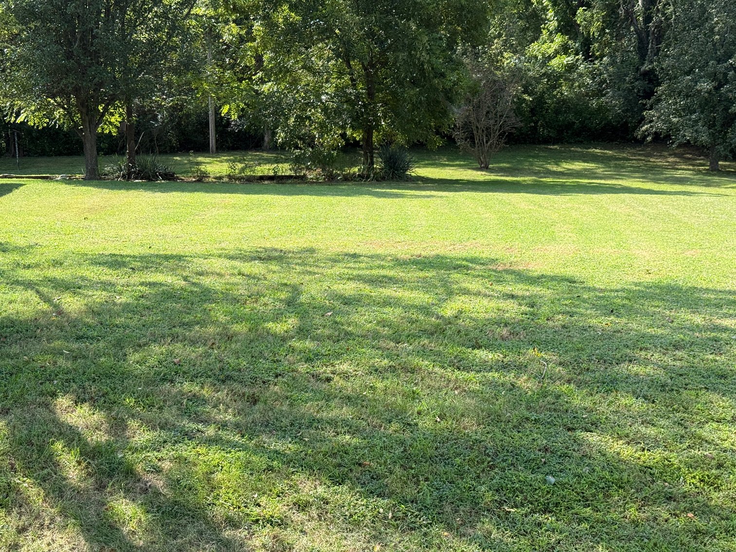 Image for 115 Shady Drive, Columbia