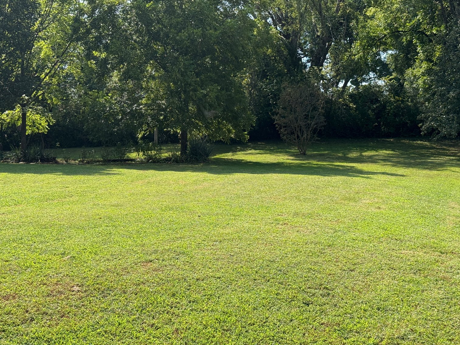 Image for 115 Shady Drive, Columbia