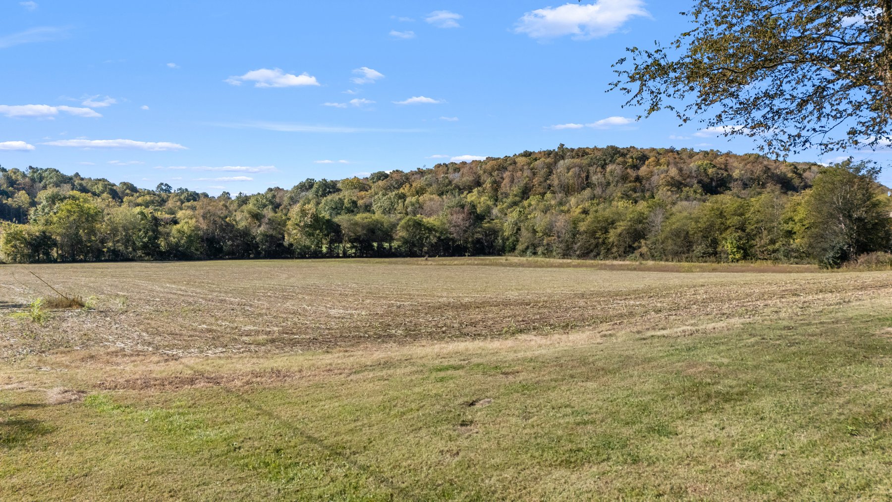 Image for 147 RL Overall Road, Auburntown