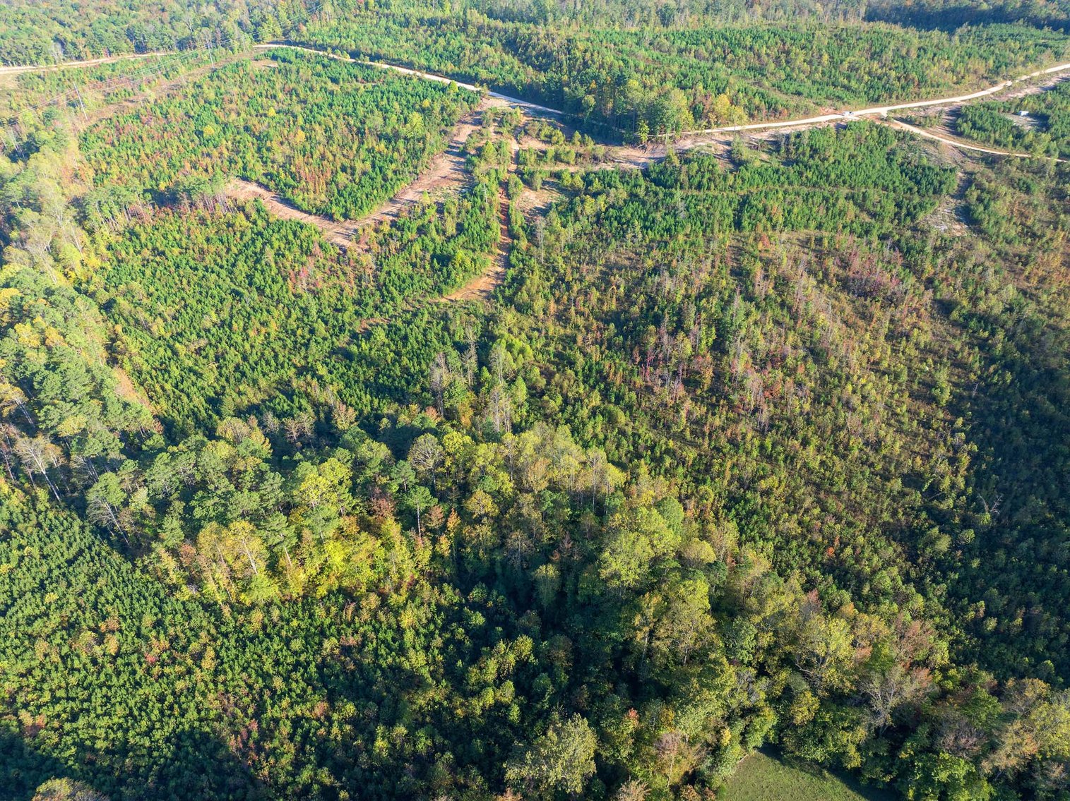 Image for Riverbend Acres – Bath Springs, TN