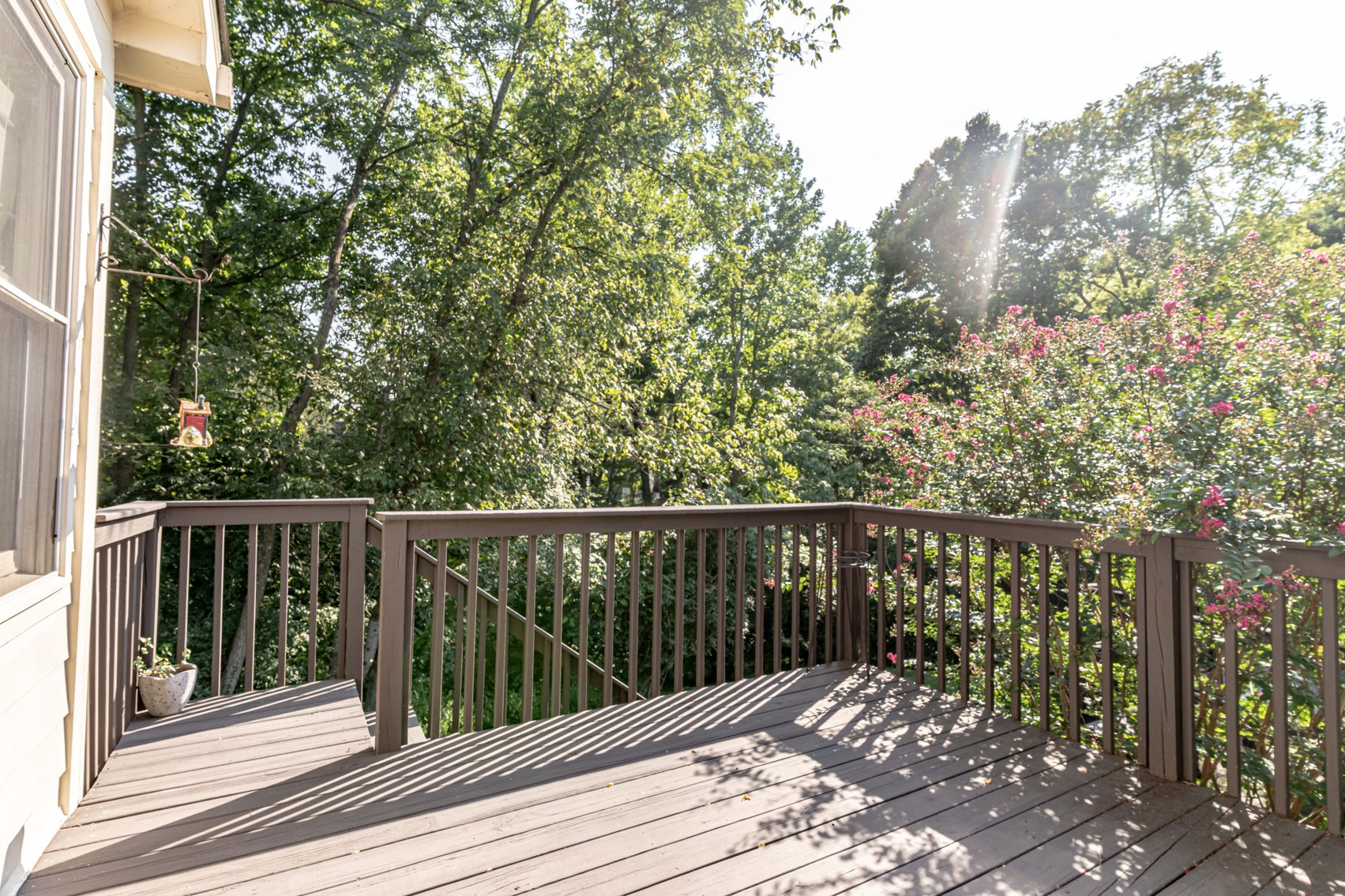 Image for Absolute Auction in Forest Garden - Real Estate