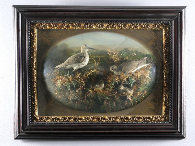 Image for January 2024 Multi-Consignor Auction at The Gallery