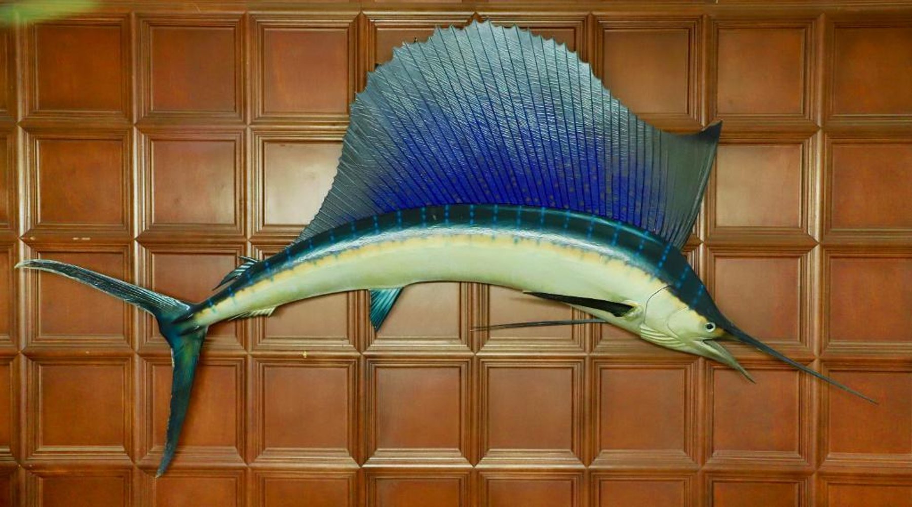 Image for Photography Studio Moving Auction