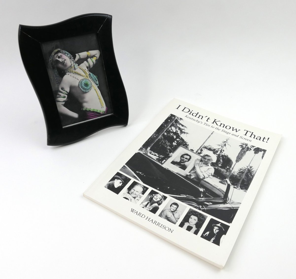 Image for Hollywood & Beyond: The Ward Harrison Estate