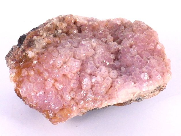 Image for The Bloom Street Treasure Trove