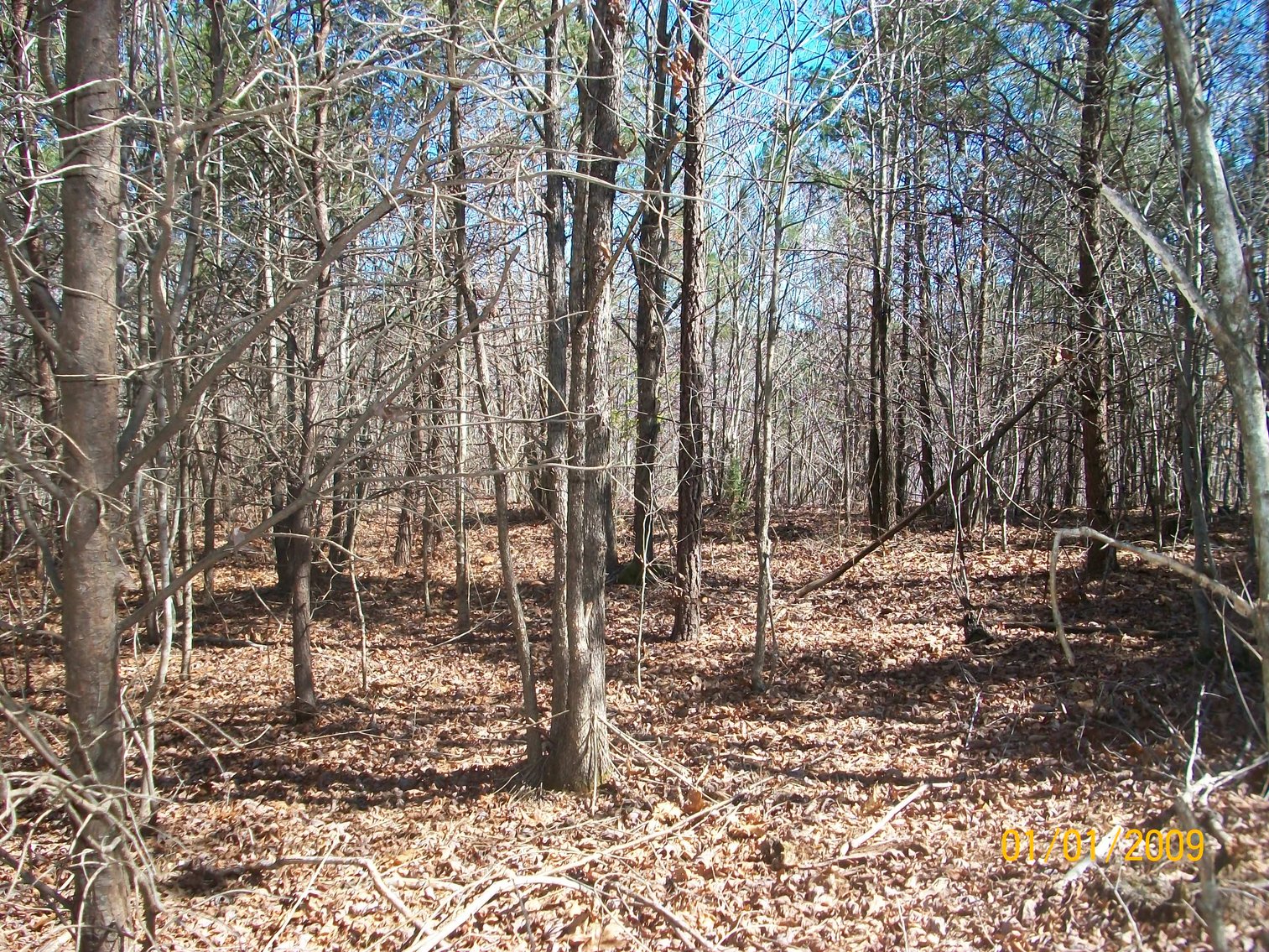 Image for Absolute Trustee Auction - House and lots selling in 3 tracts - Danville VA