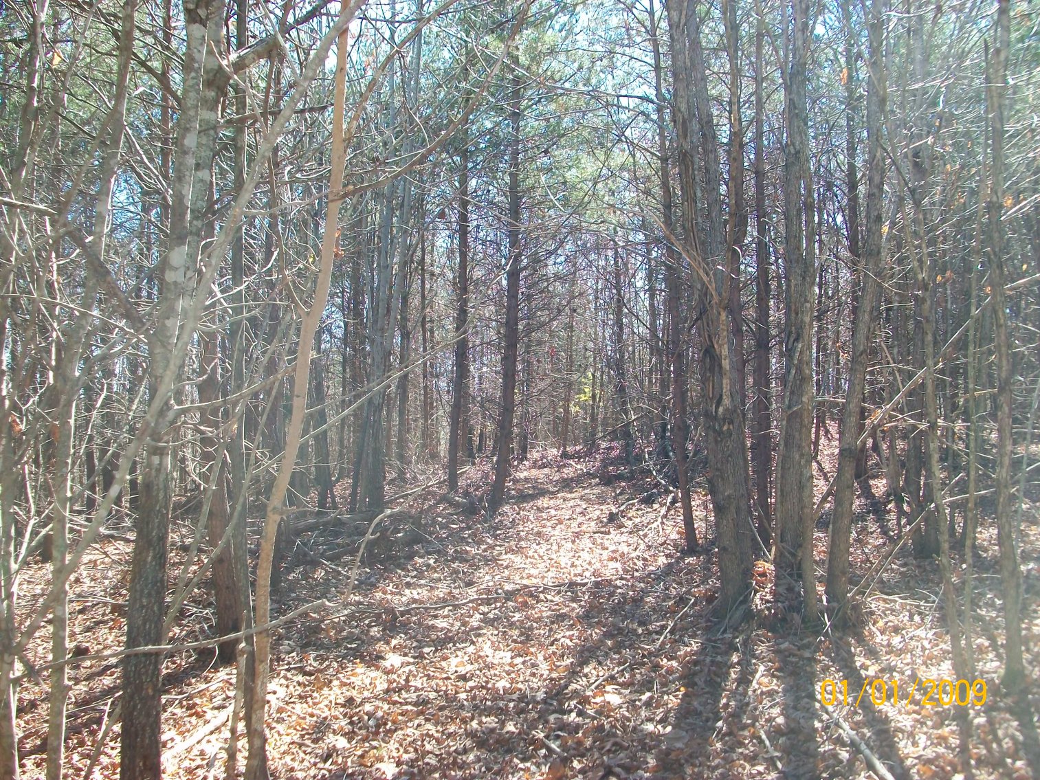 Image for Absolute Trustee Auction - House and lots selling in 3 tracts - Danville VA