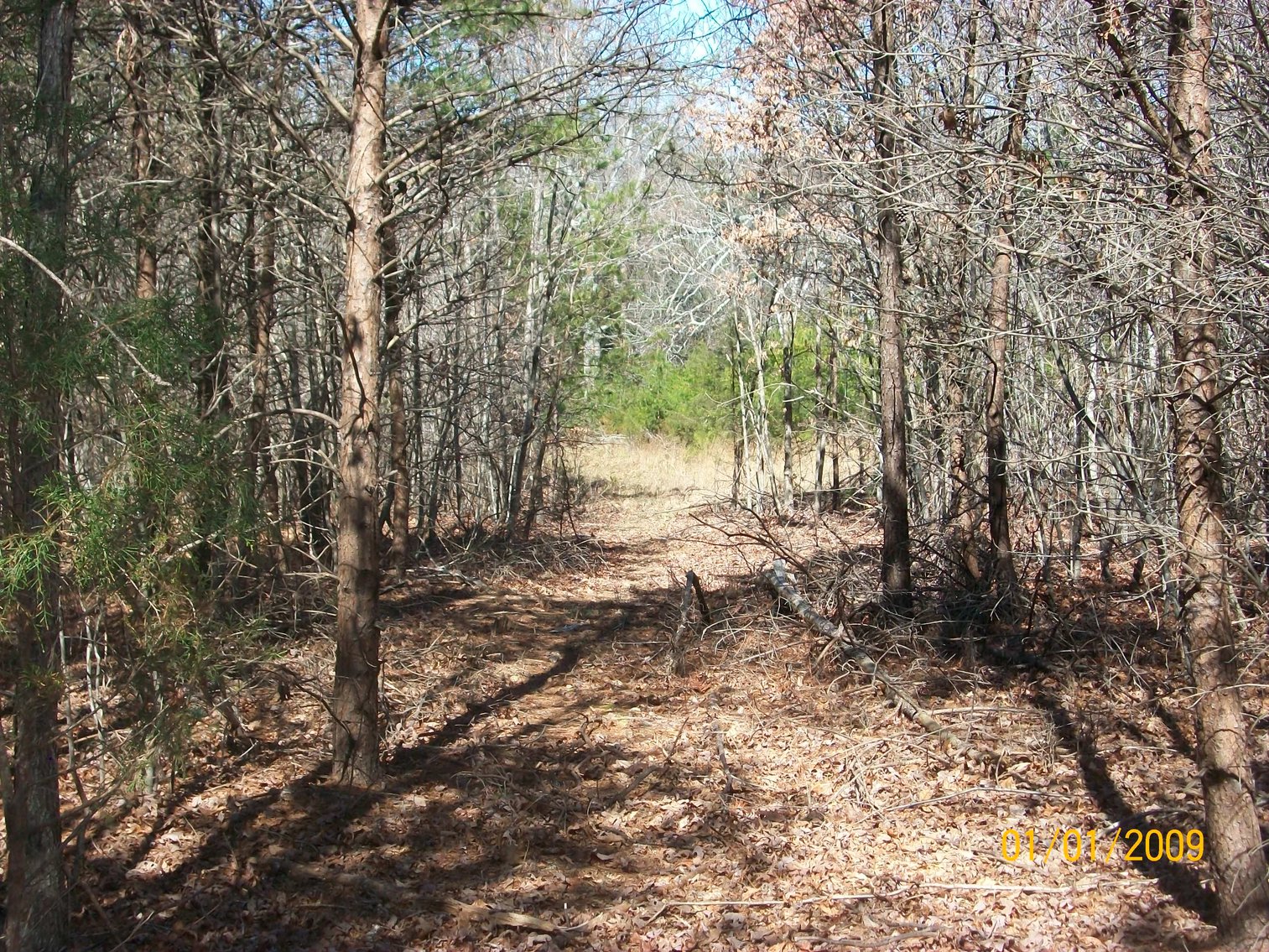 Image for Absolute Trustee Auction - House and lots selling in 3 tracts - Danville VA