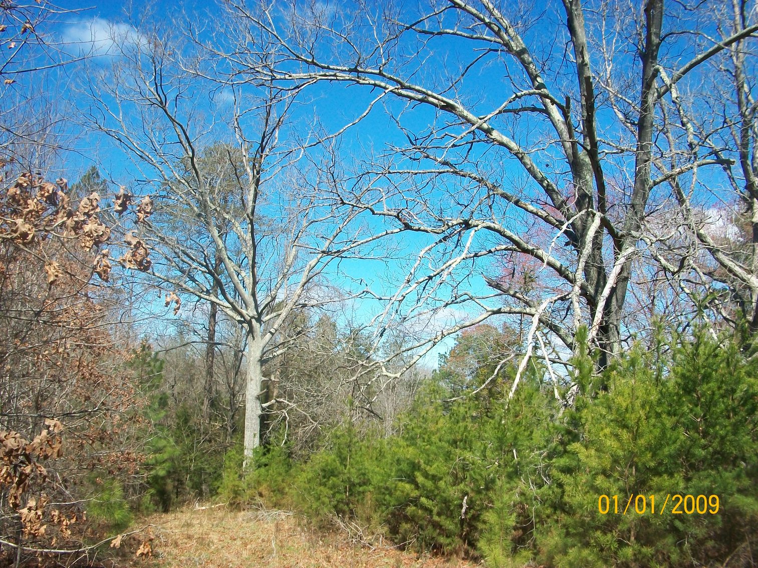 Image for Absolute Trustee Auction - House and lots selling in 3 tracts - Danville VA