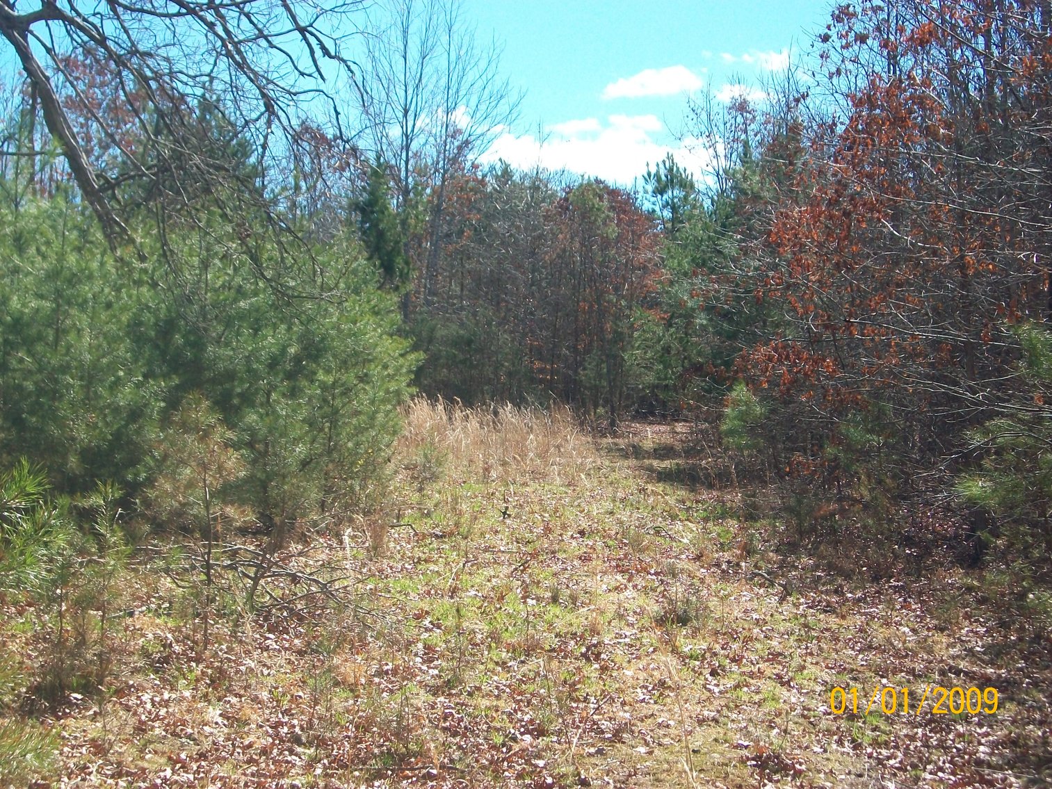 Image for Absolute Trustee Auction - House and lots selling in 3 tracts - Danville VA