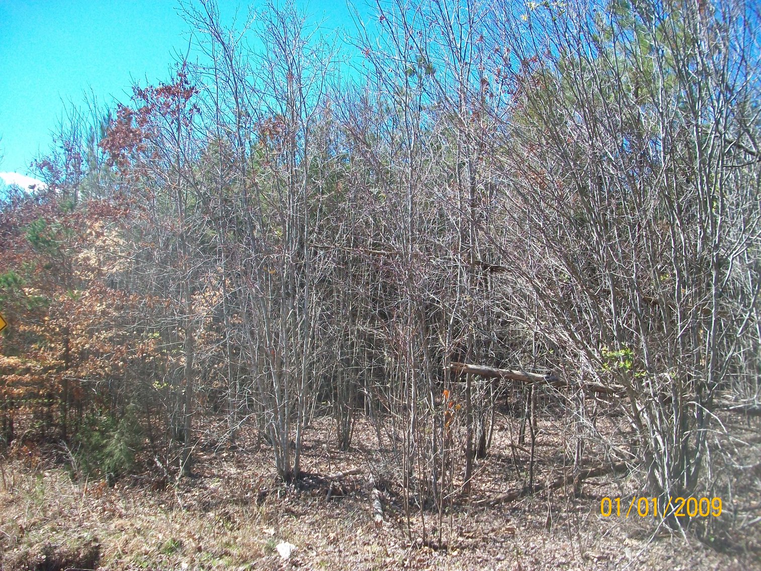 Image for Absolute Trustee Auction - House and lots selling in 3 tracts - Danville VA