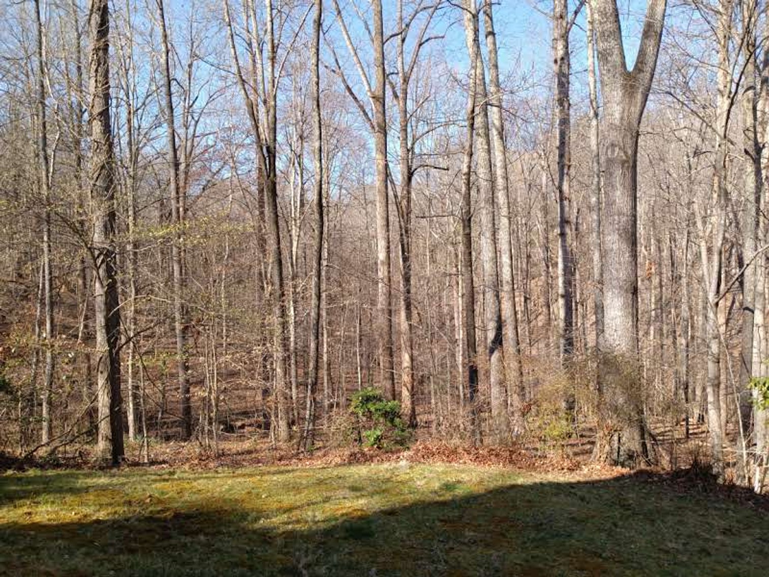 Image for Uzsoy Estate - Real Estate - Lynchburg VA