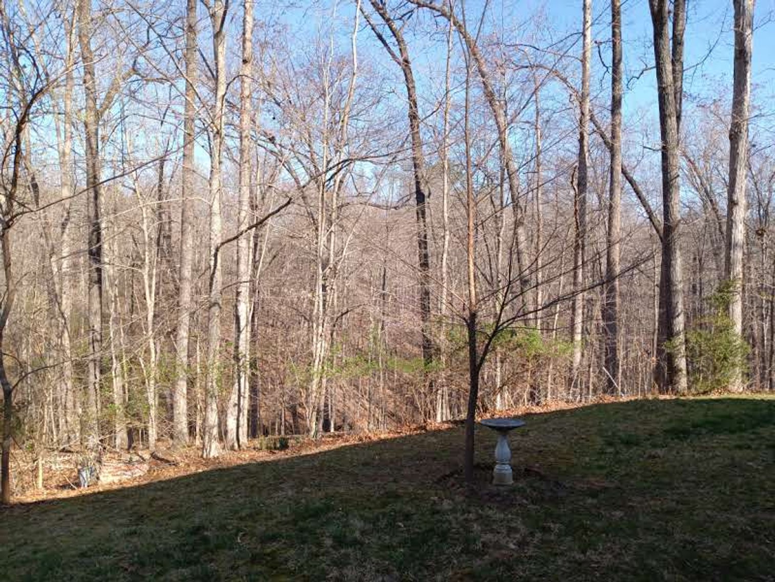 Image for Uzsoy Estate - Real Estate - Lynchburg VA