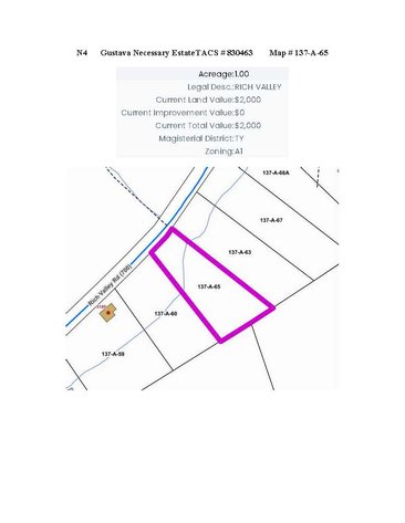Image for NOTICE OF DELINQUENT TAXES AND SALE OF REAL PROPERTY TOWN OF ABINGDON & COUNTY OF WASHINGTON, VIRGINIA