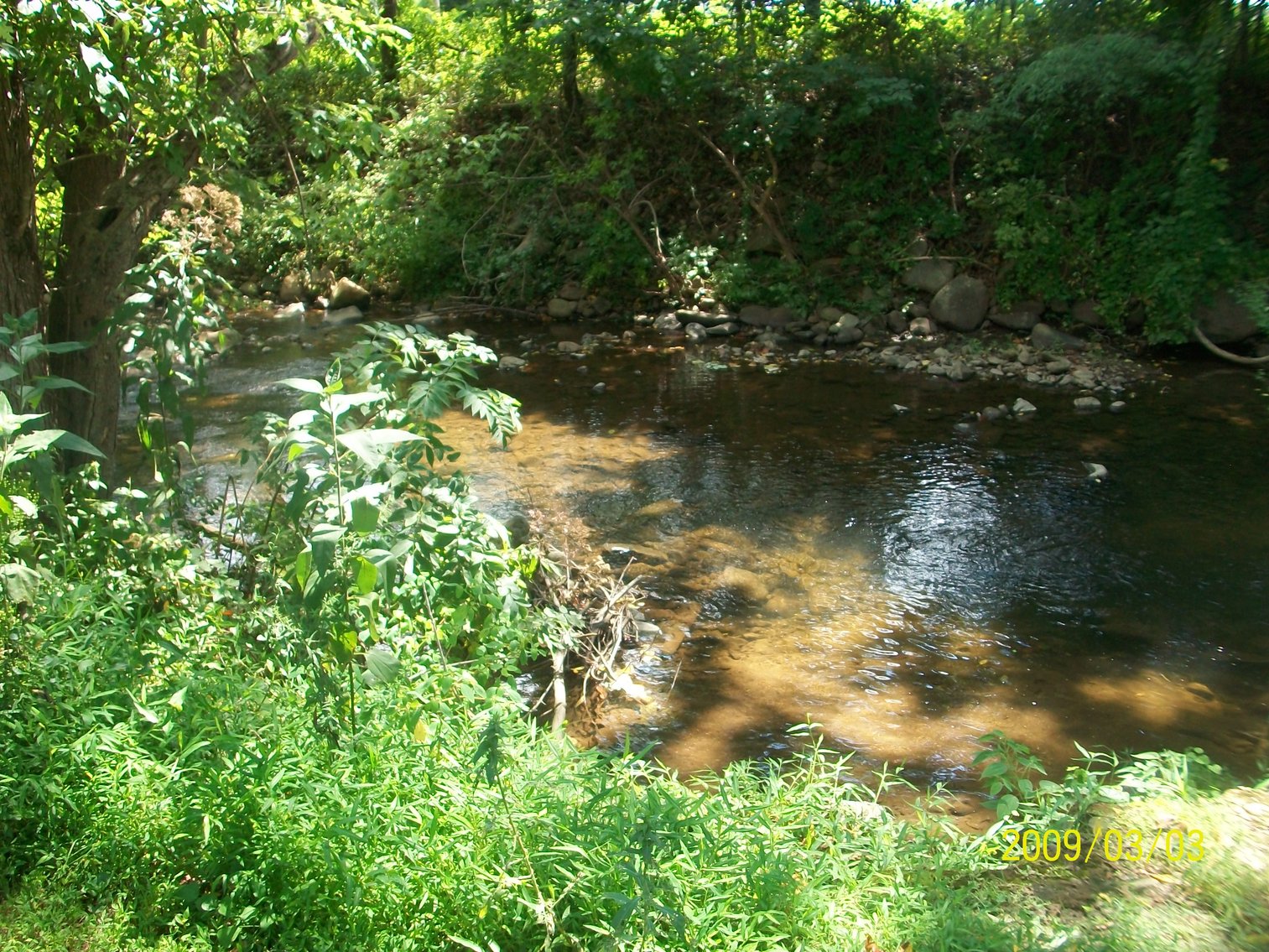 Image for Foreclosure Auction - Atlantic Union Bank - Copper Fox