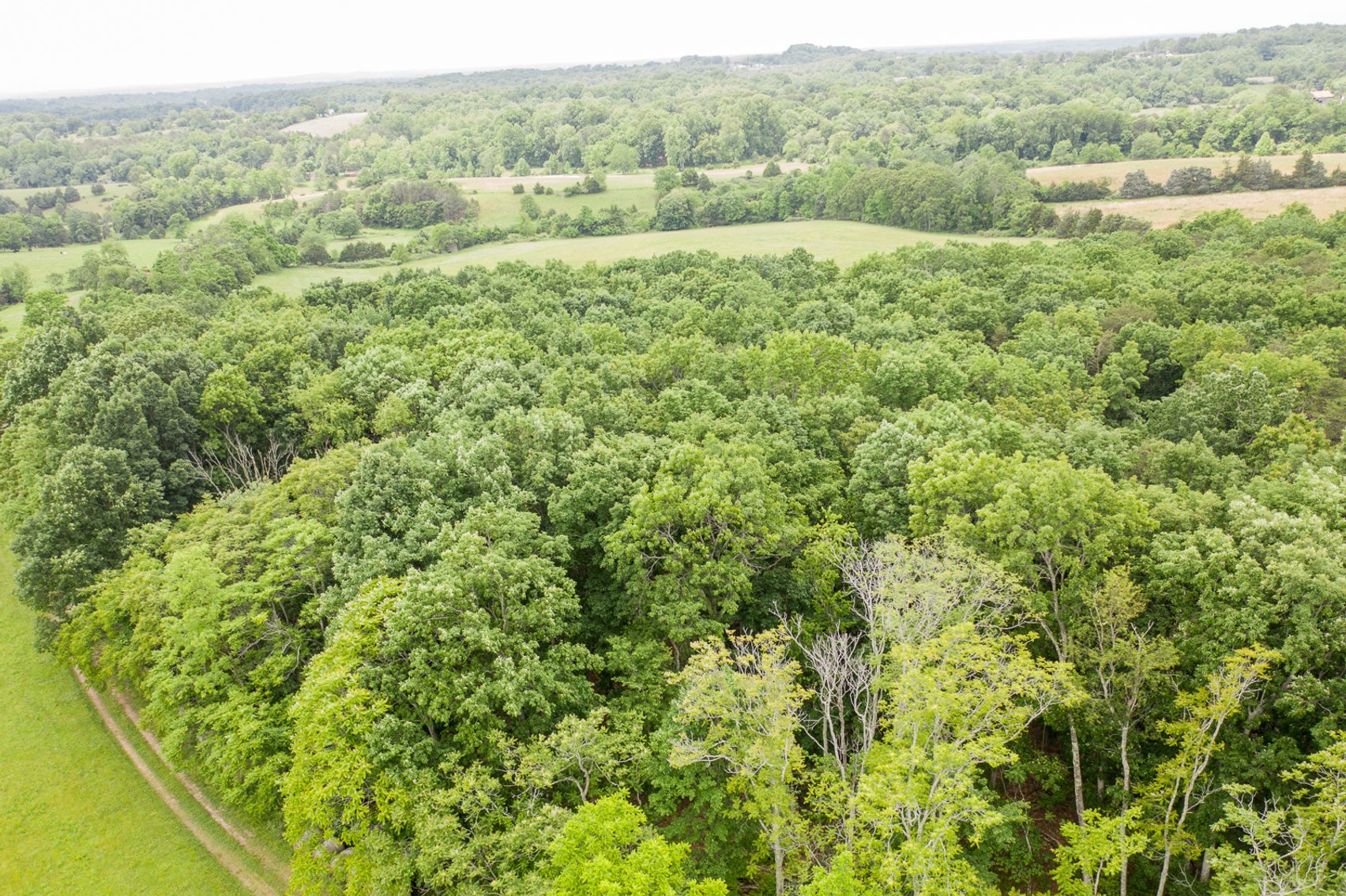 Image for Estate of Ruby Wells Dooley - 89.5 Ac. Farm - Bedford VA