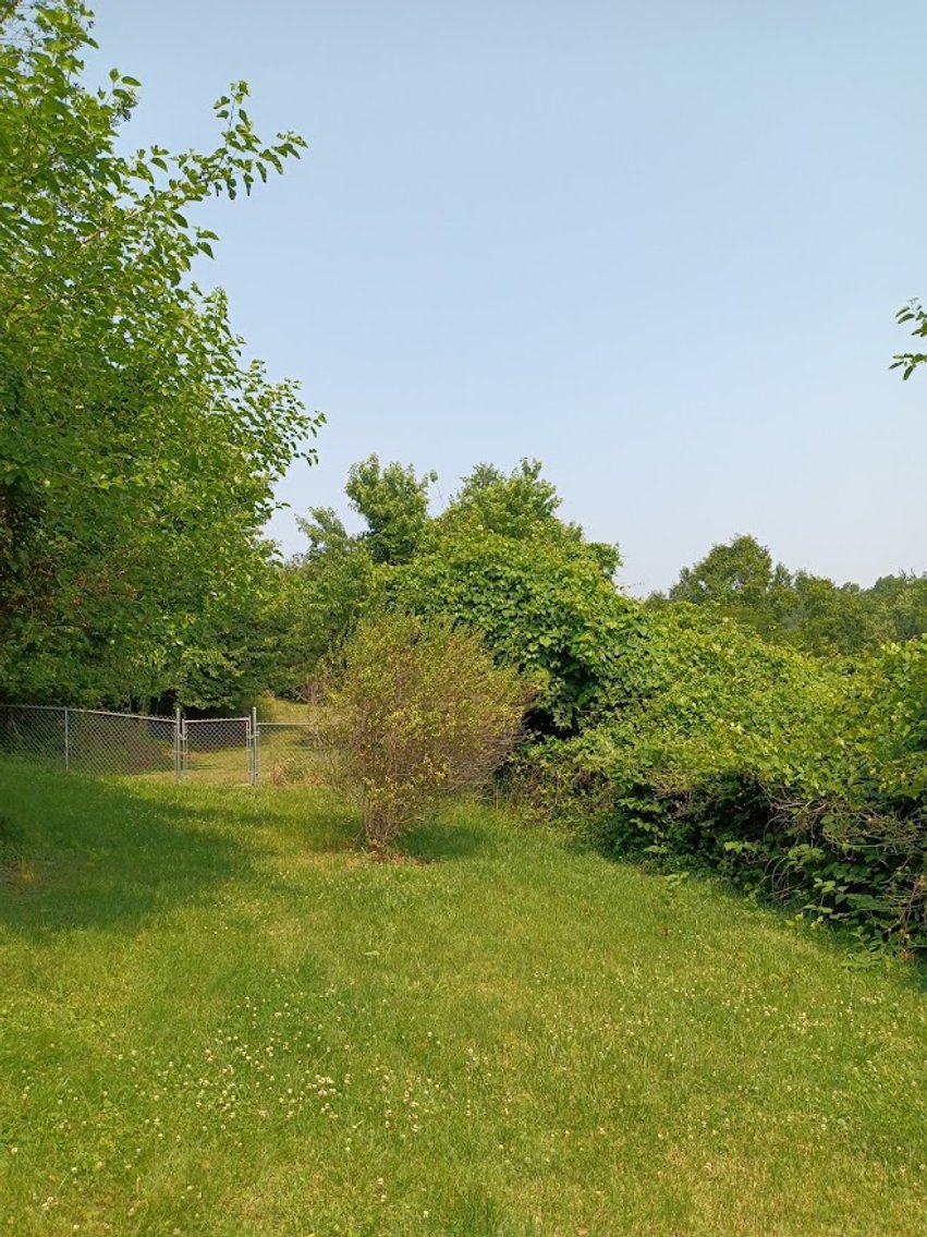 Image for 3 Bedroom House - Madison Heights VA