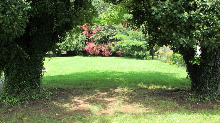 Image for Multi property Auction - Online Only Auction