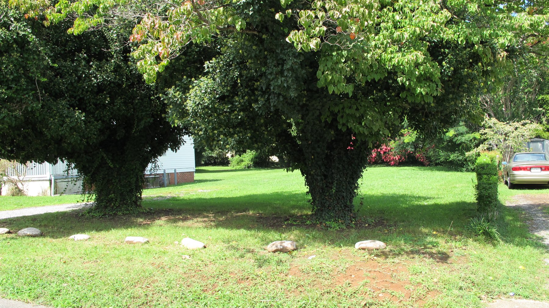 Image for 407 Grayson Street Lynchburg VA  24503