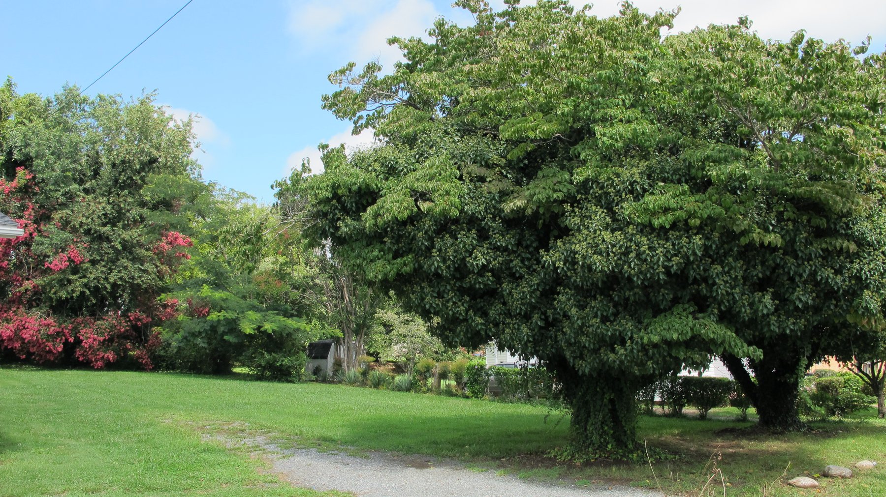 Image for 407 Grayson Street Lynchburg VA  24503