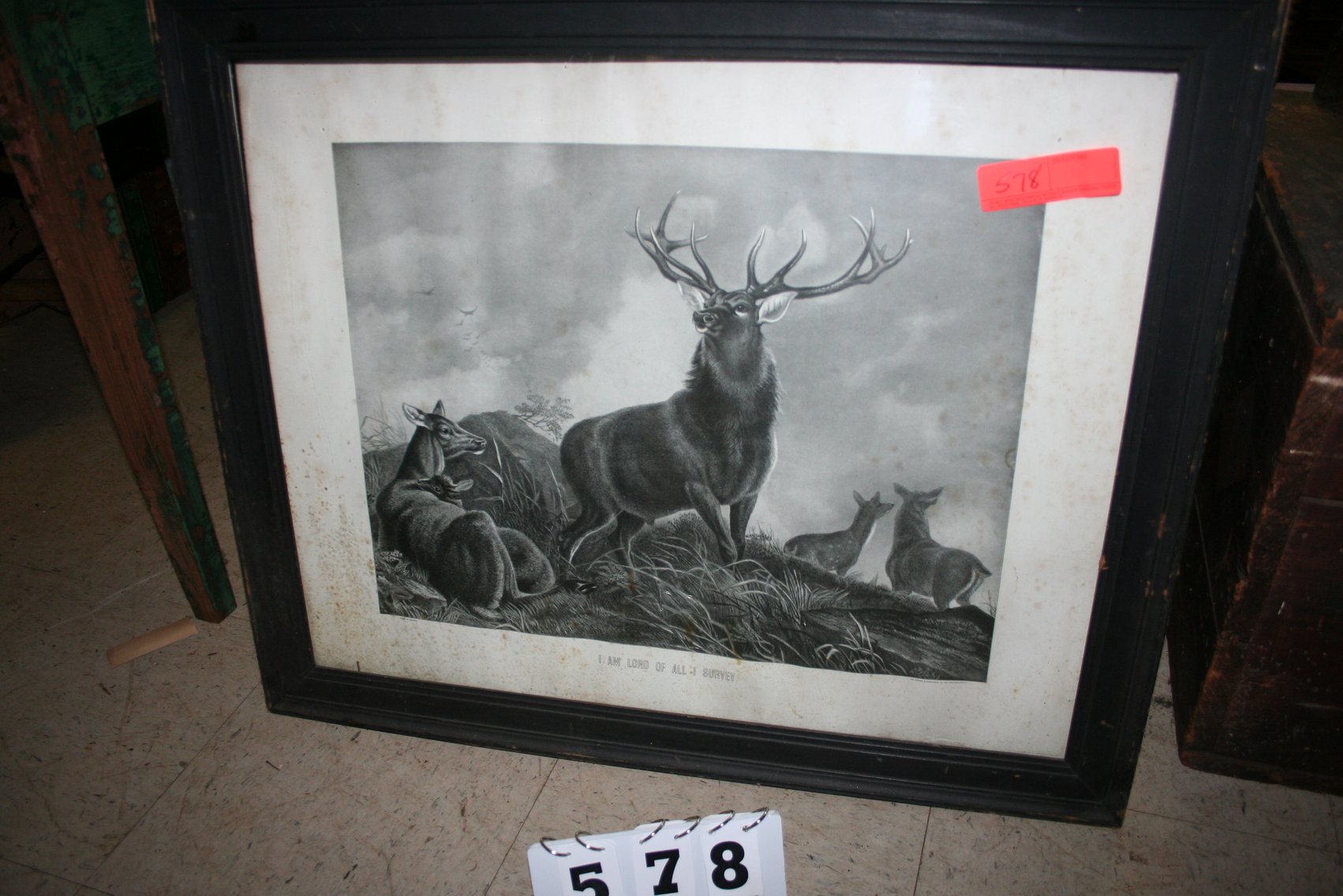 Image for Elk Print & Frame