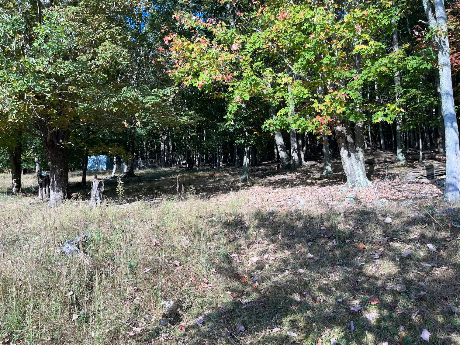 Image for House & 9.49 Acres (±)