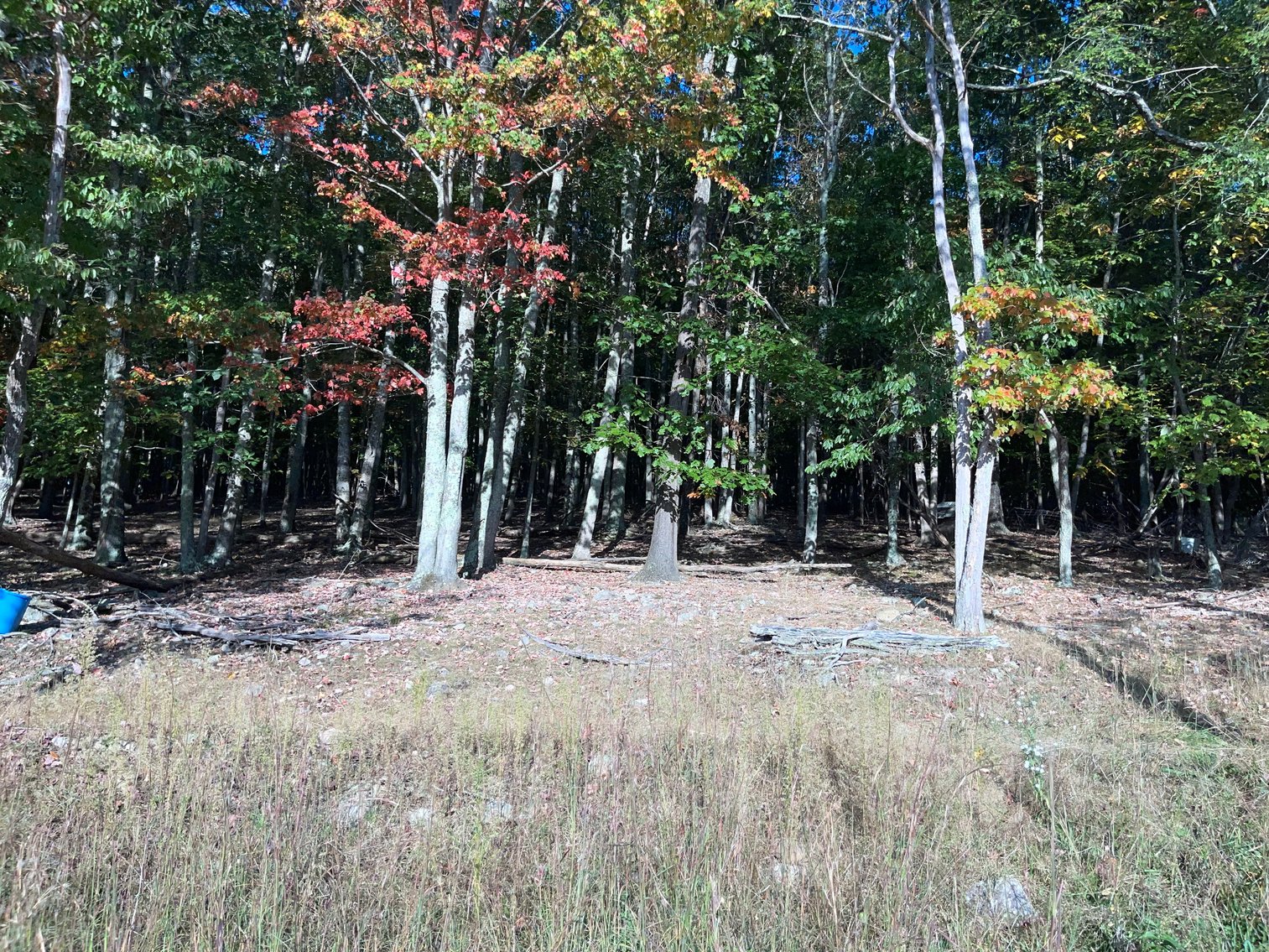 Image for House & 9.49 Acres (±)