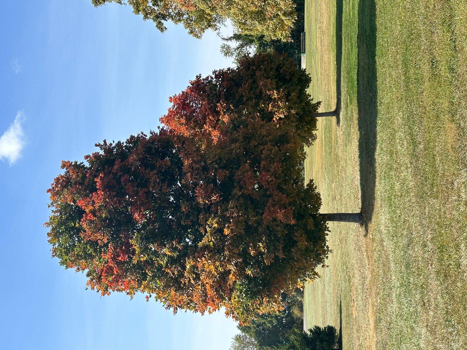 Image for House & 9.49 Acres (±)