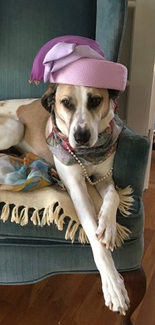 Image for Eva & J.W. “Billy”  Mundy Estate