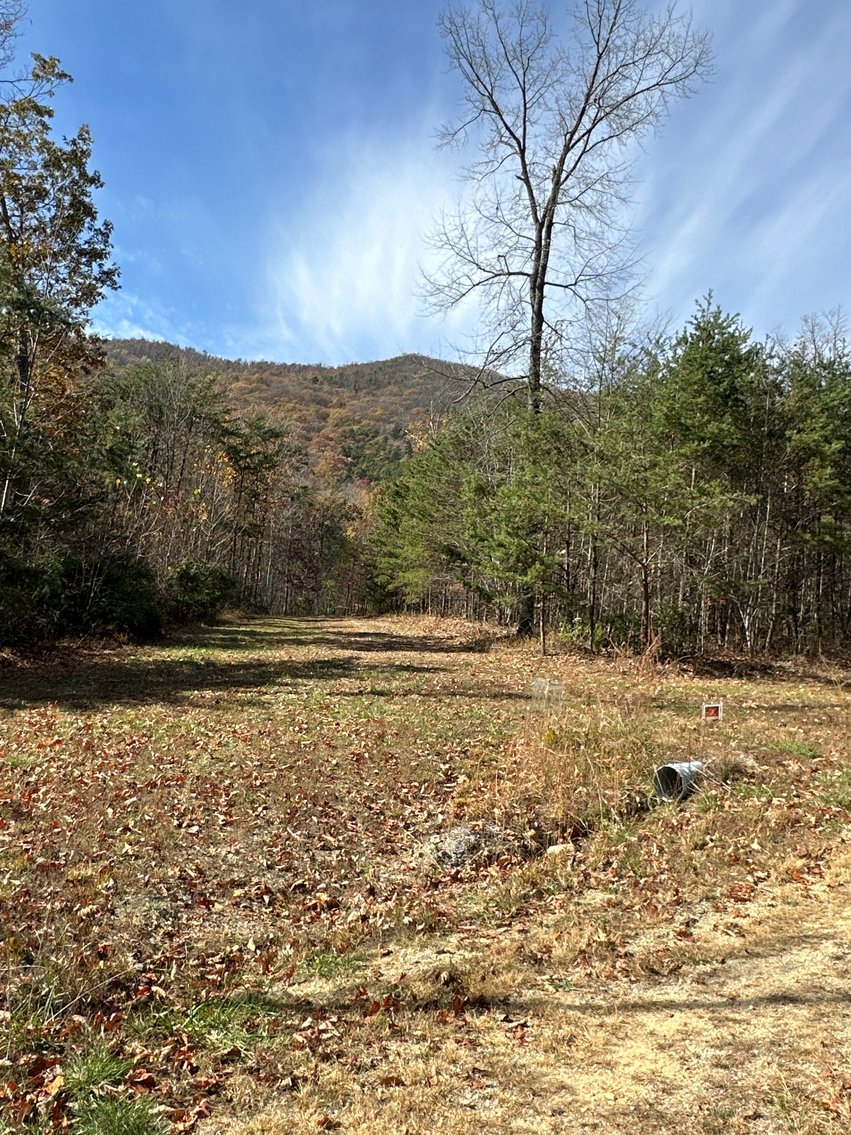 Image for View From Tract 3 - 45.86 acres