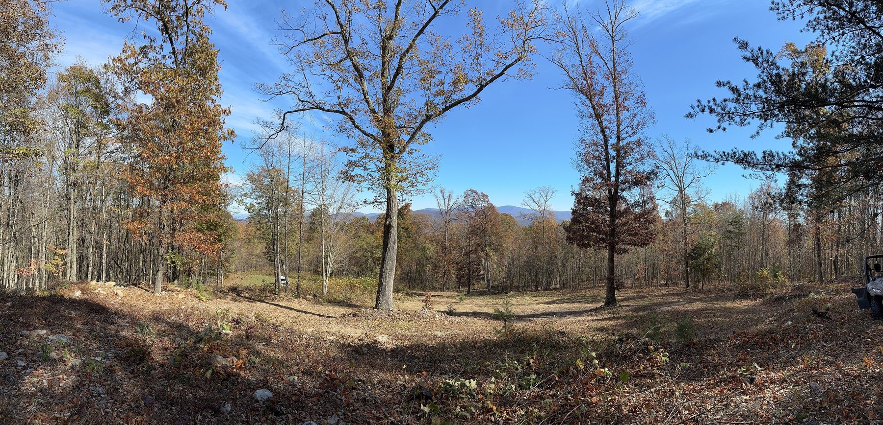 Image for View From Tract 6 - 42.55 acres
