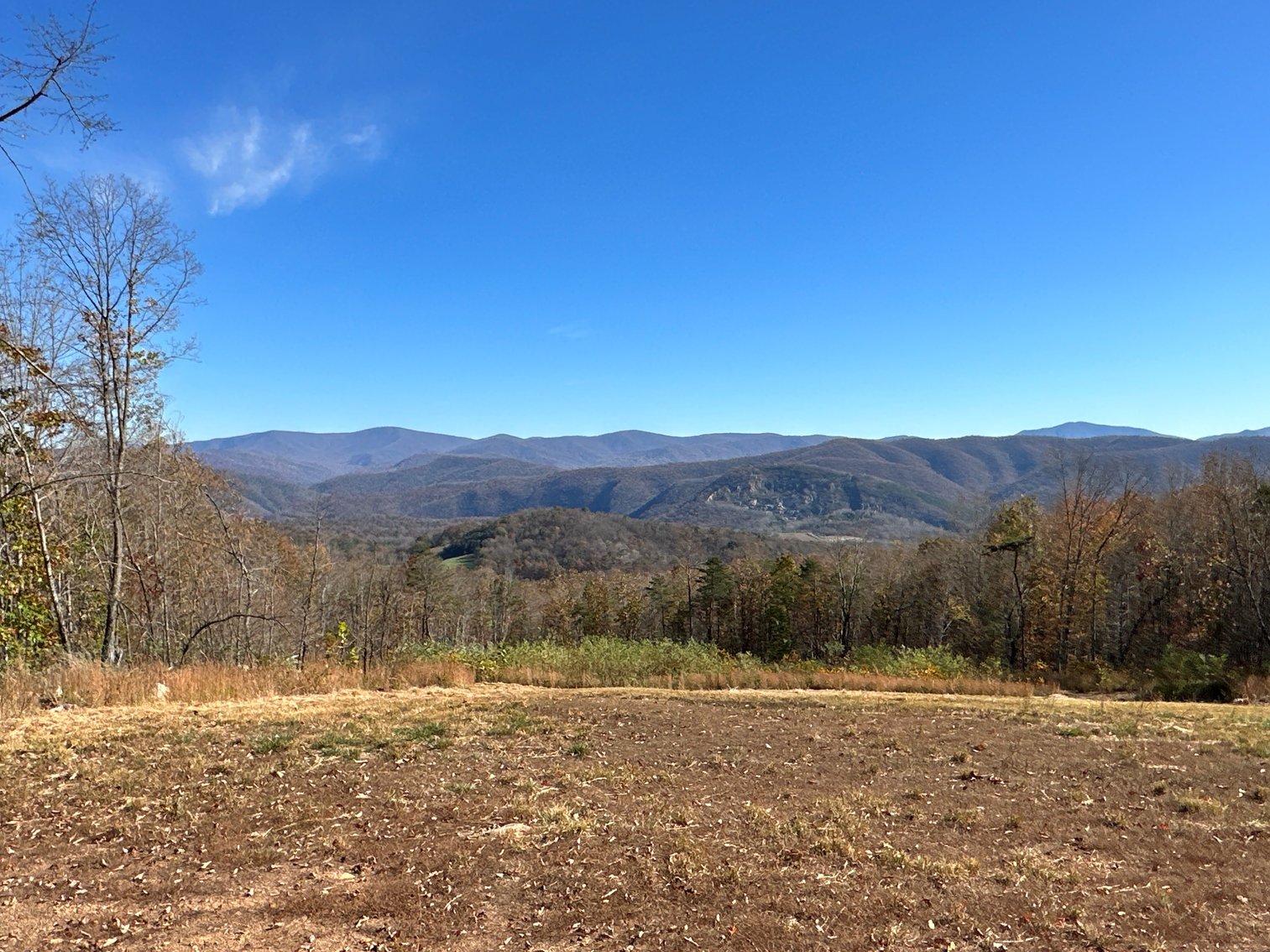 Image for View From Tract 3 - 45.86 acres
