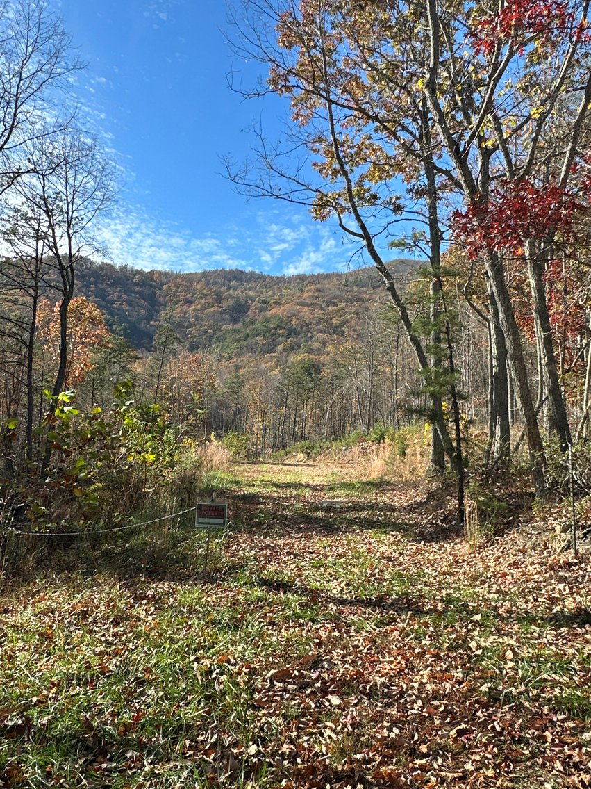 Image for View From Tract 3 - 45.86 acres