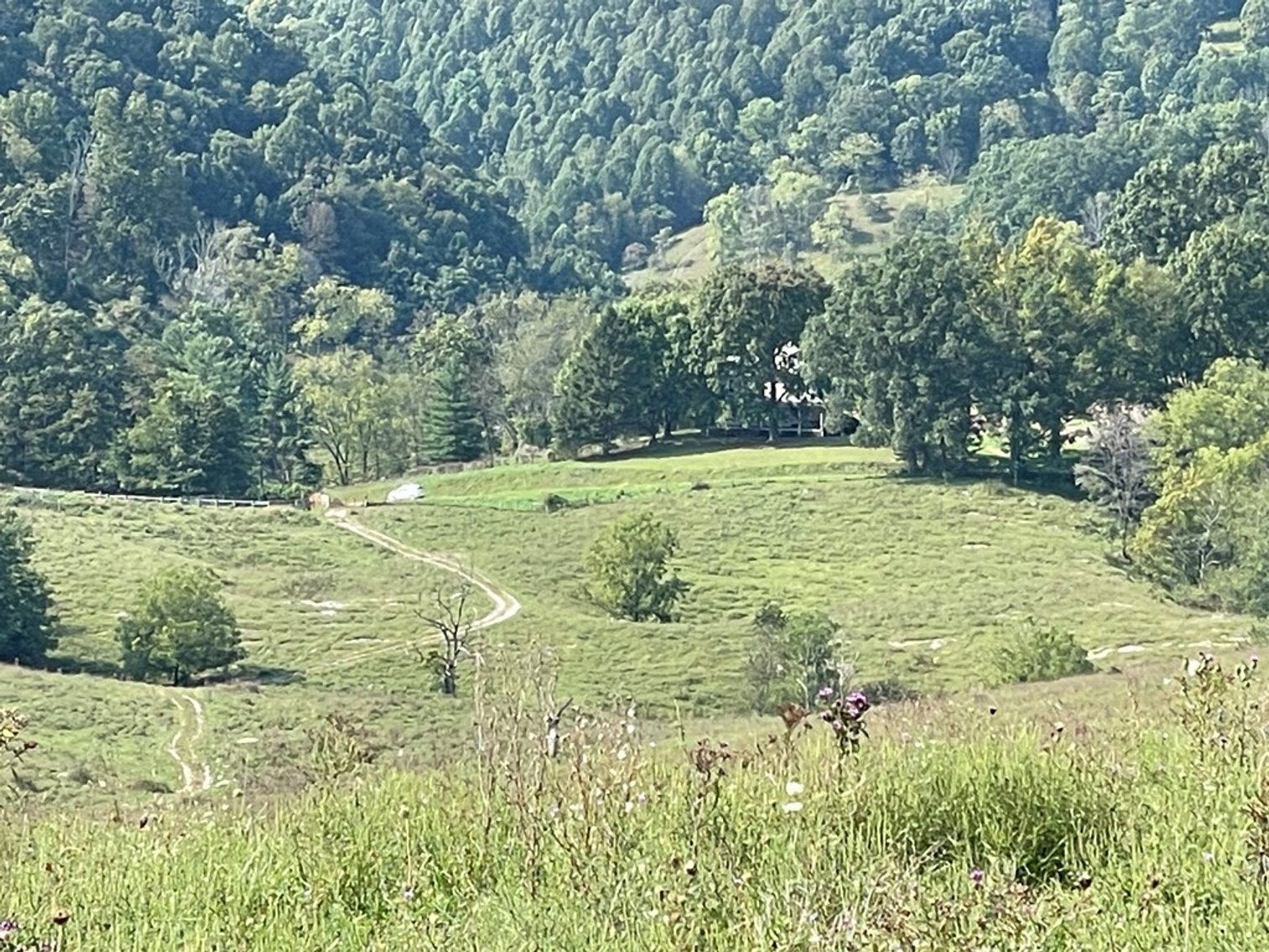 Image for 322 Acres (+/-)