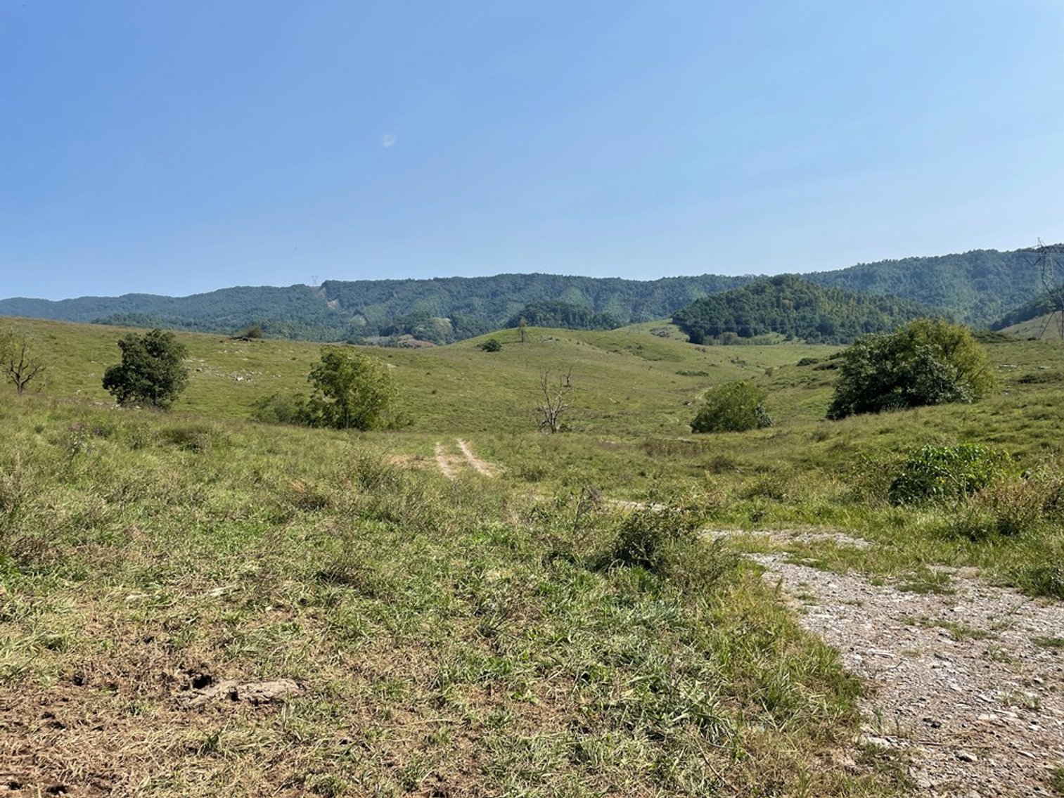 Image for 322 Acres (+/-)