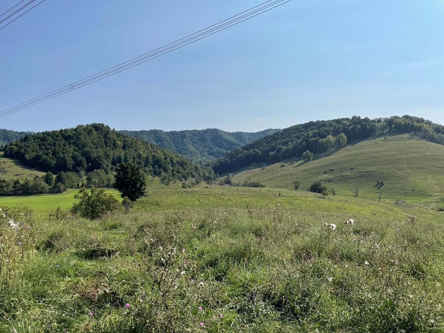 Image for 322 Acres (+/-)