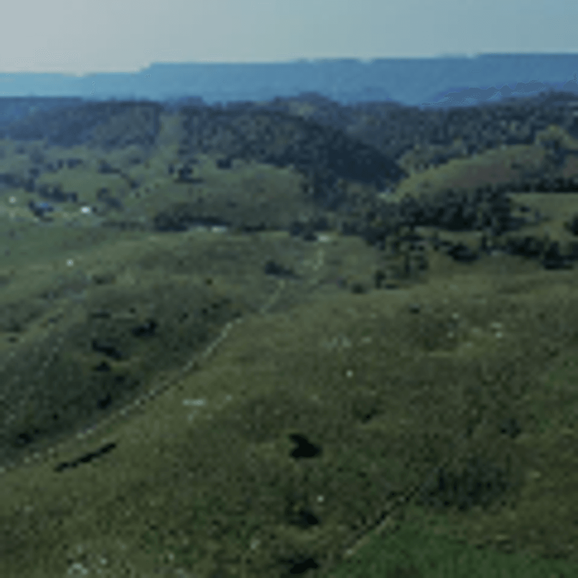 Image for 322 Acres (+/-)