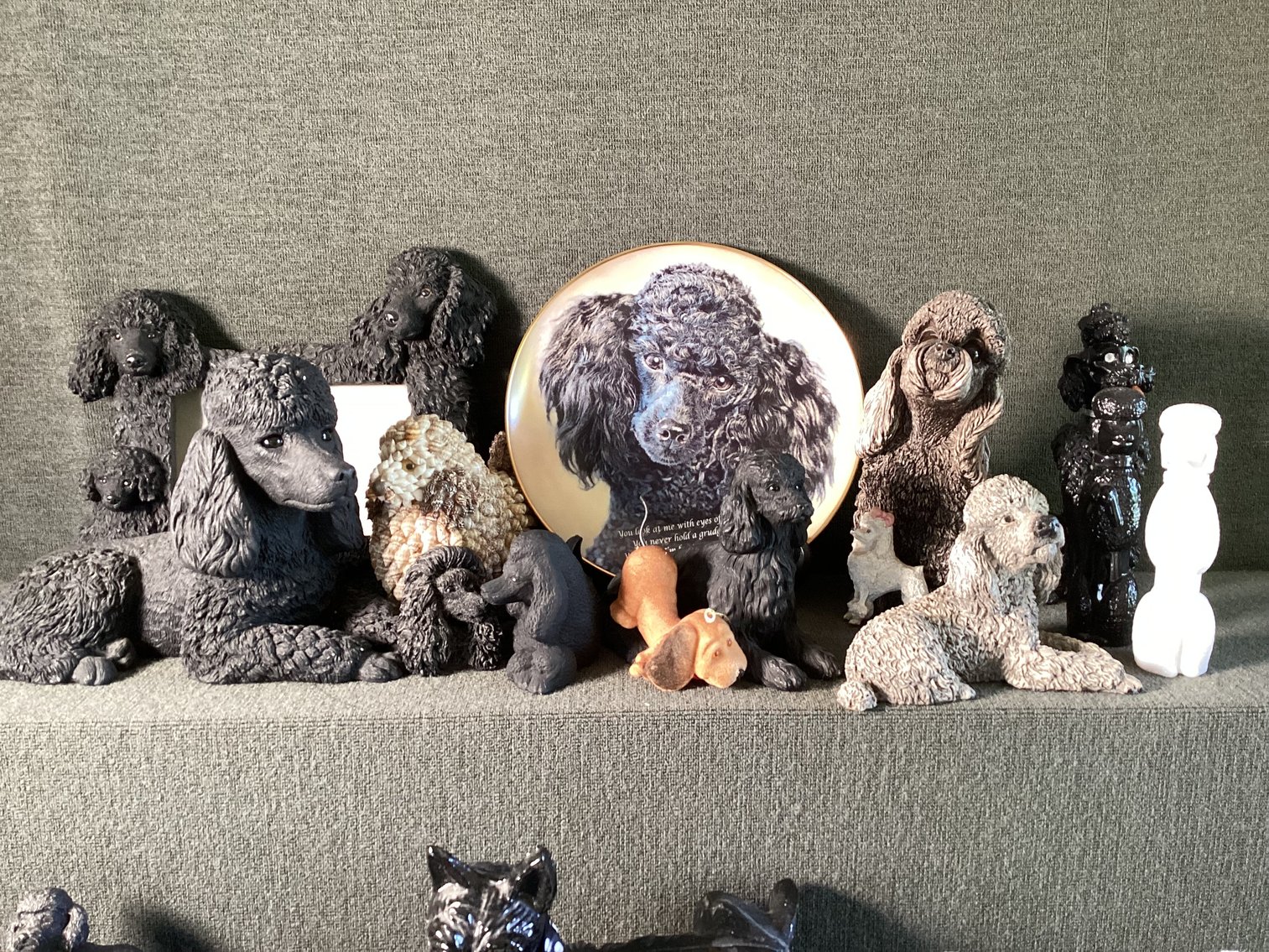 Image for Poodle Lot