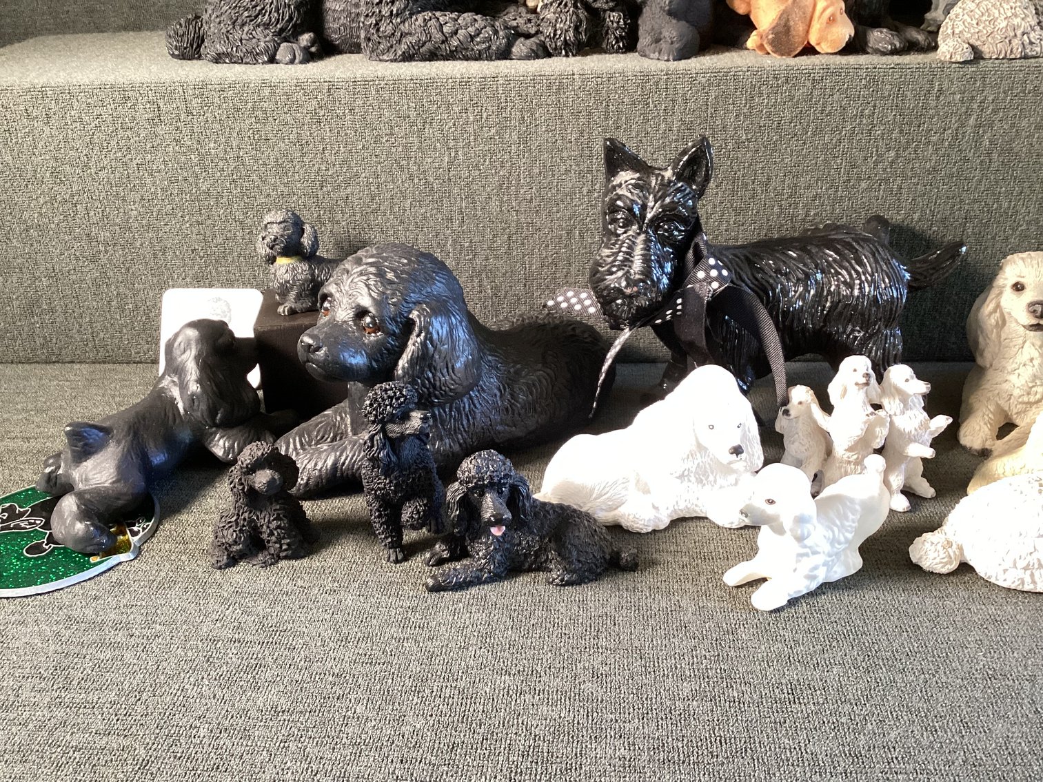 Image for Poodle Lot