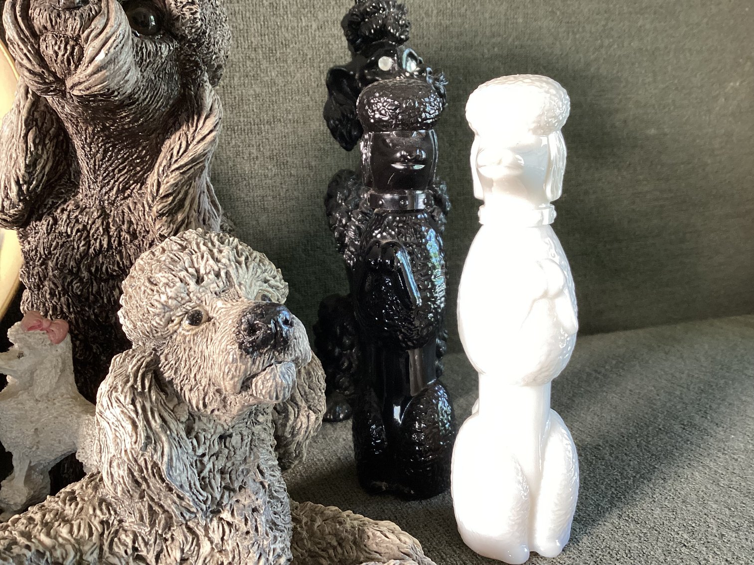 Image for Poodle Lot