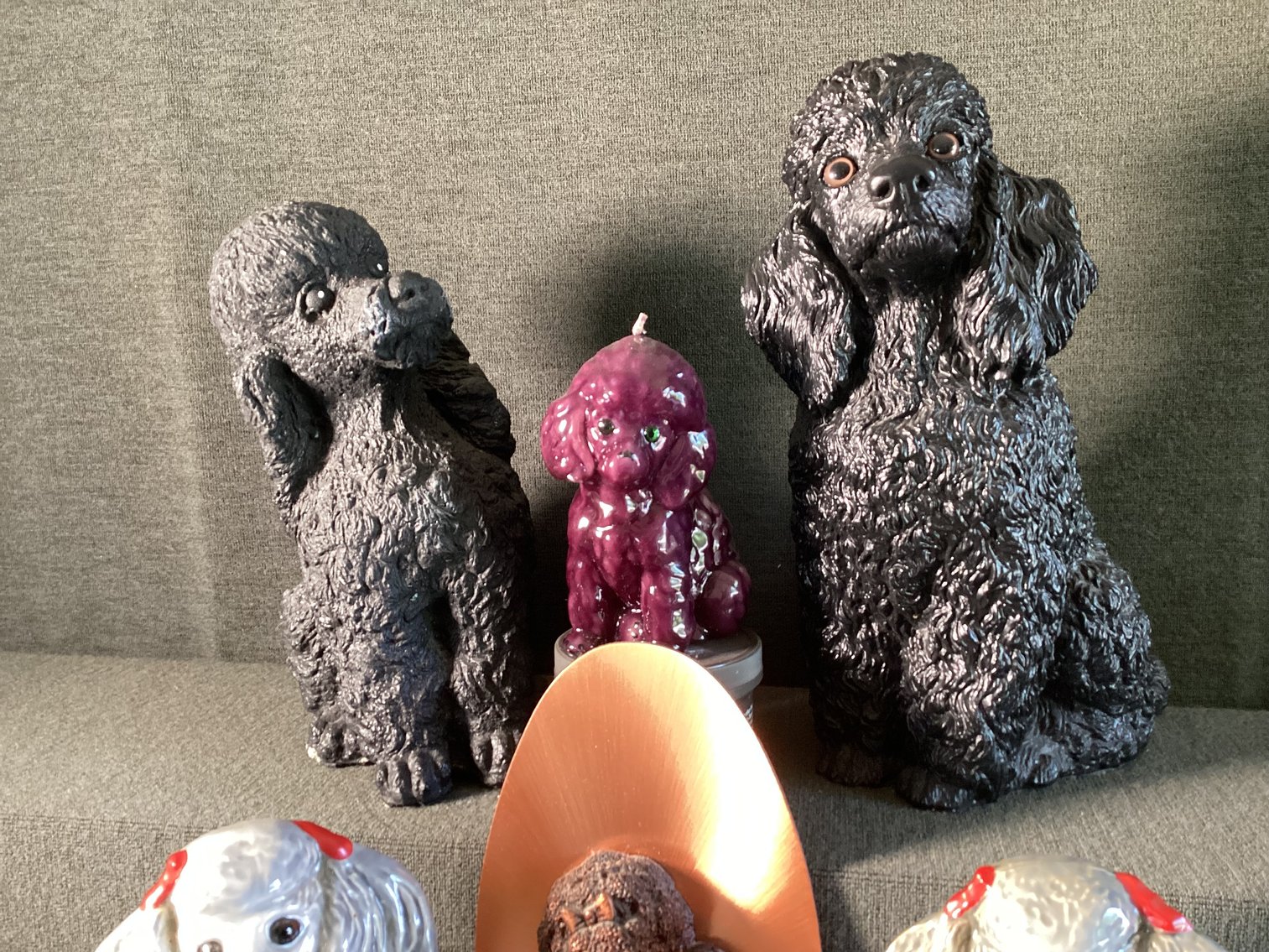 Image for Poodle Lot