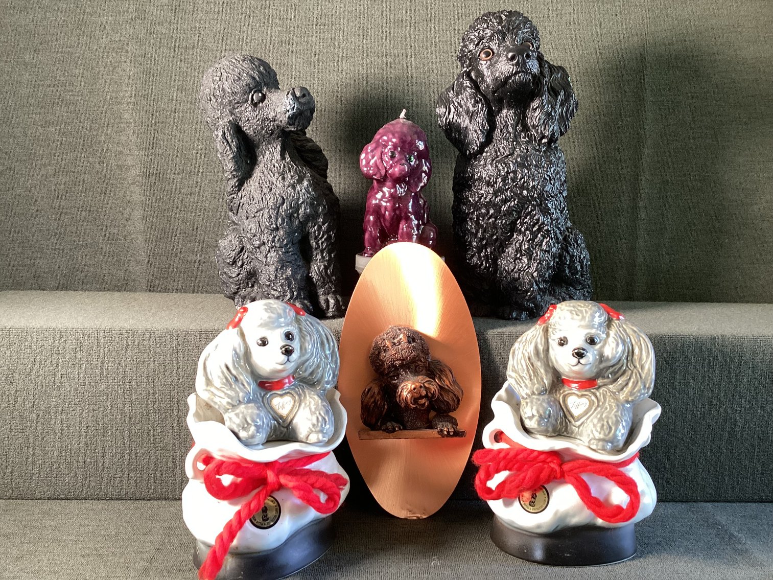 Image for Poodle Lot