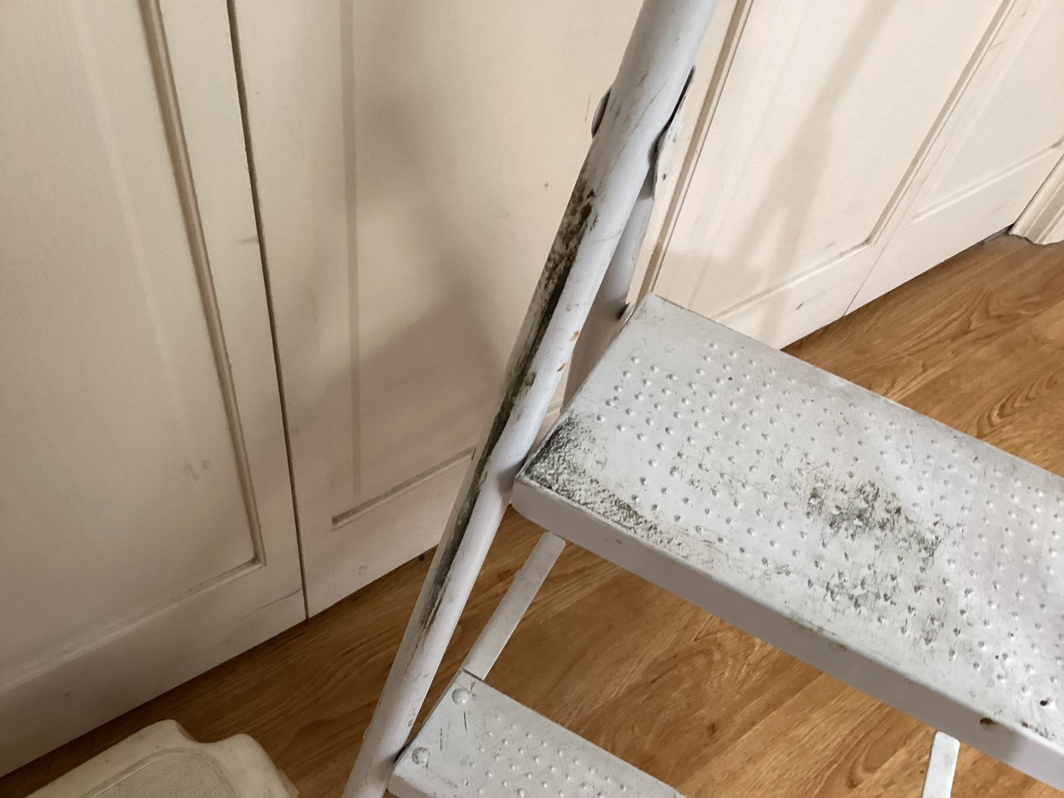 Image for Step Stools