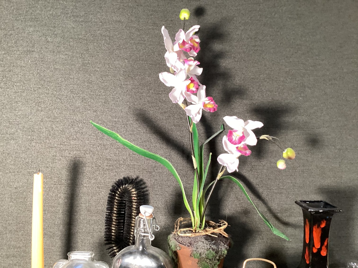 Image for Decorator’s Lot