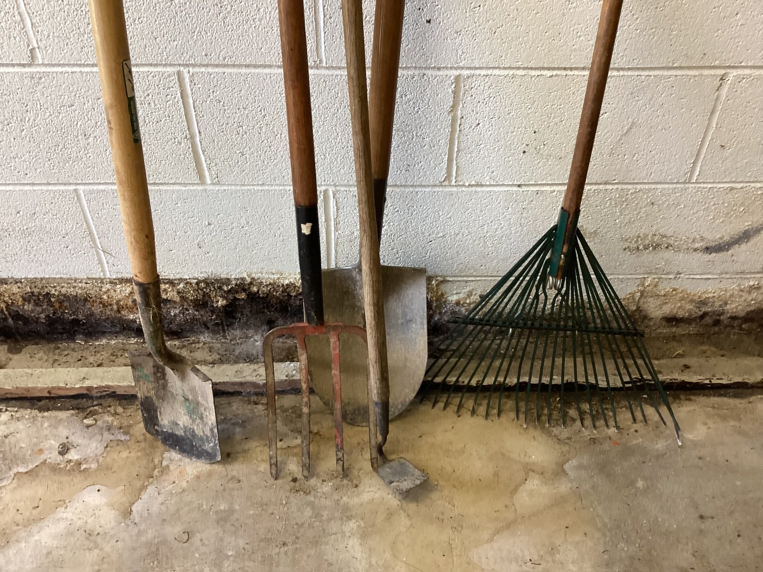 Image for Garden Lot