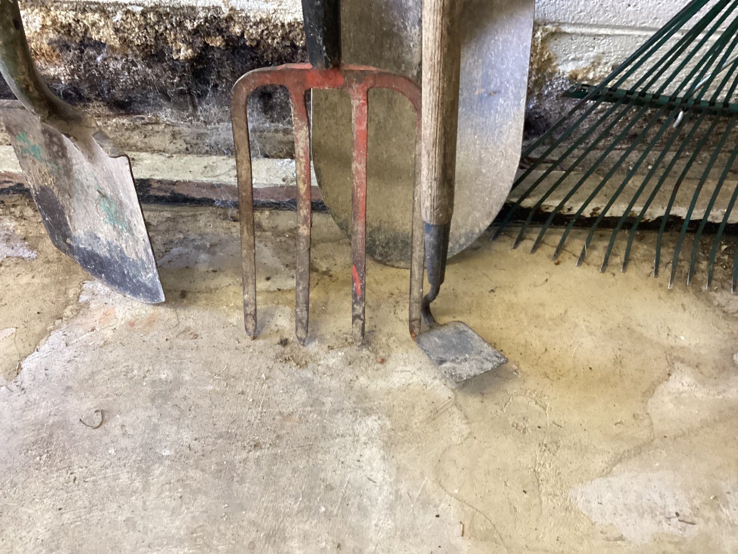 Image for Garden Lot