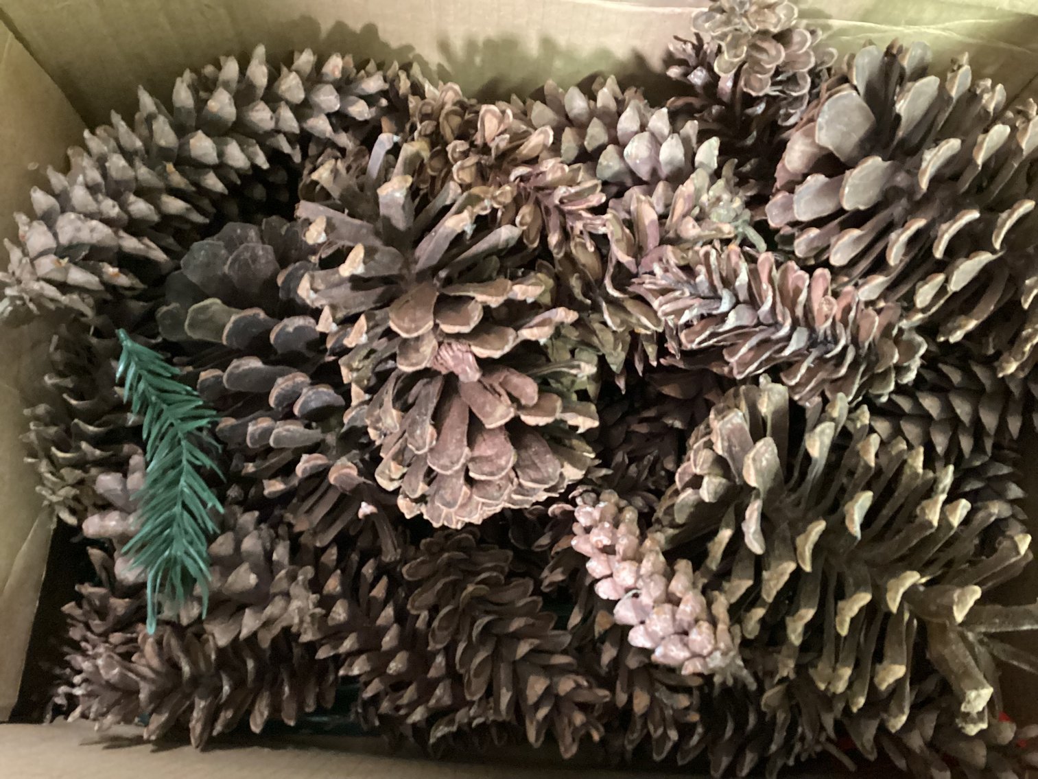 Image for Christmas Decorations