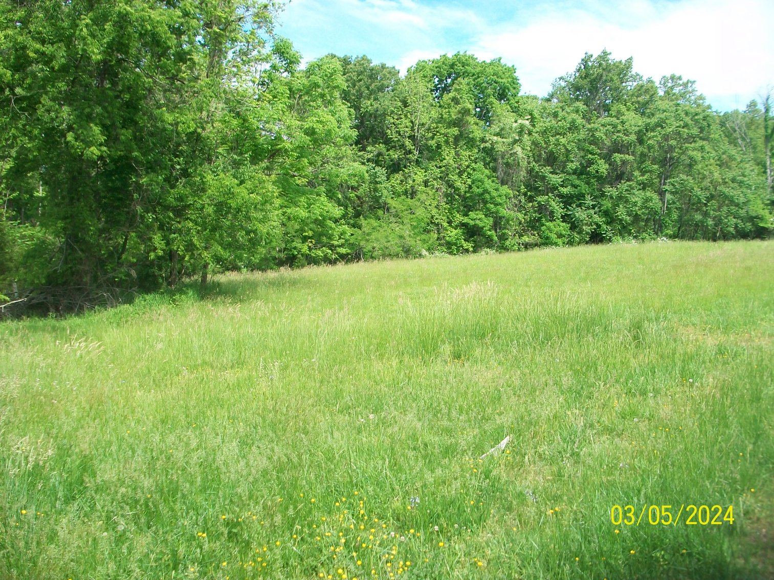 Image for Property #14 Dyers Store Rd - 2 acres