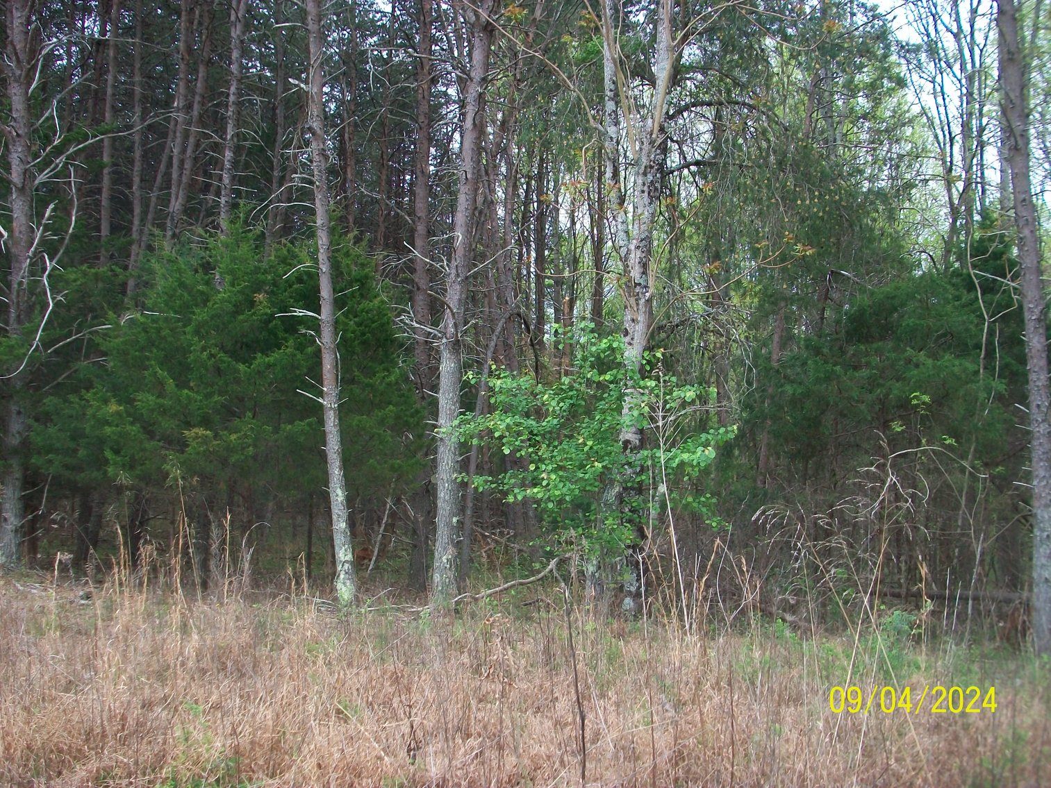 Image for Property #16 Dyers Store Rd. - 8.6 acres