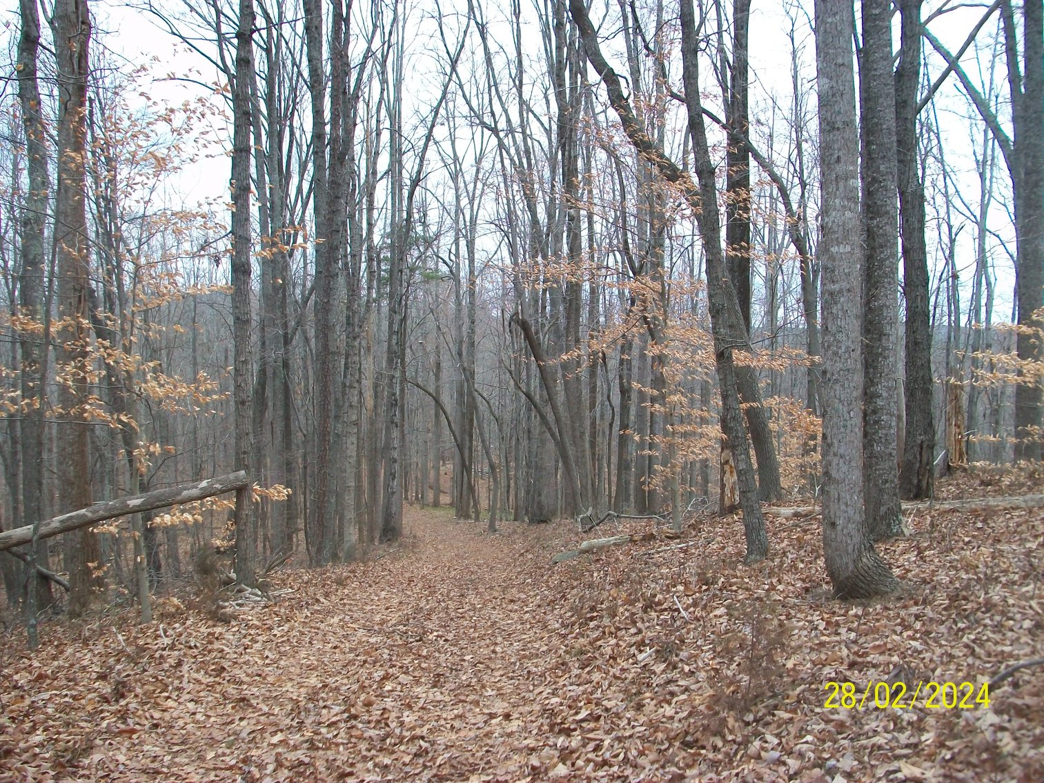 Image for Property #17 Ravenscroft Rd and Dyers Store Rd - 57.76 acres